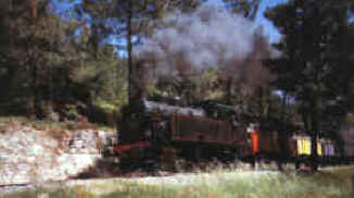 trainpag.jpg (6050 octets)